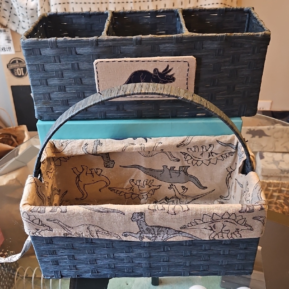 ALL SALES PERMANENTLY END TUESDAY 12/30 Dinosaur Print Blue Woven Basket Set